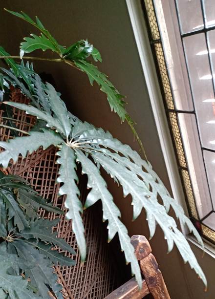 Descripcin: C:\Users\amdx6\Desktop\Downloads\IMG_20210817_112336182.jpg