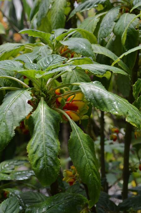 Descripci�n: Foto 9