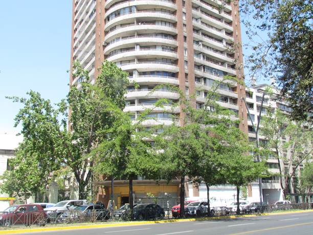 Descripci�n: D:\flores x genero\Ornamentales varias\Ornamentales\flora  ornamental\356_2910\quercus nigra (1).JPG