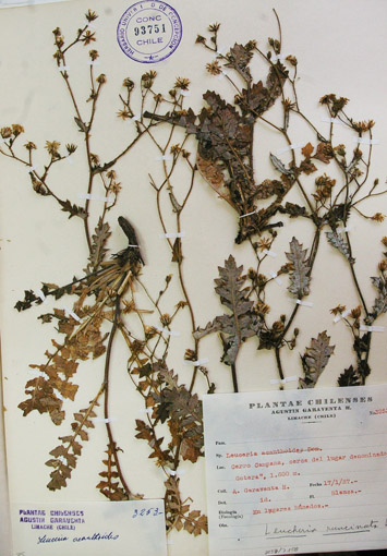 fig 13 -a