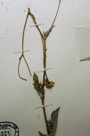 figura 9-B