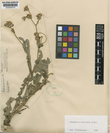 fig 8