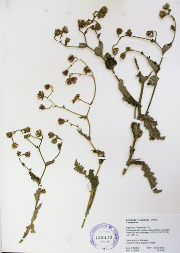 fig 14