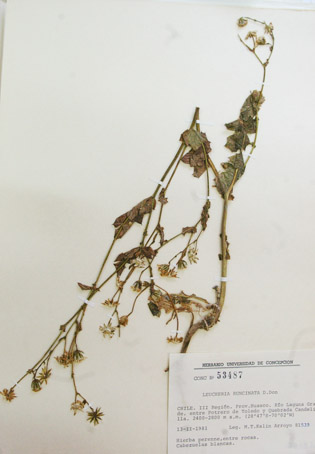 fig10
