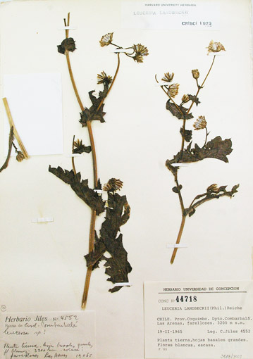 fig 13-a
