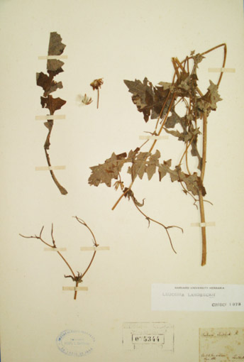 Fig. 3-a