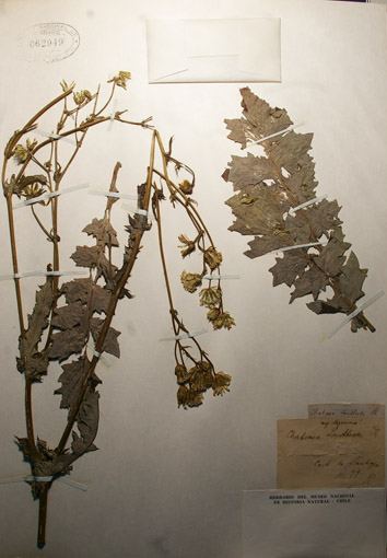 fig 16.-a