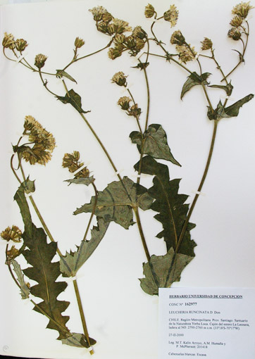 fig 16-a