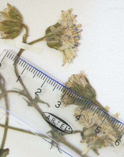 fig 16 b