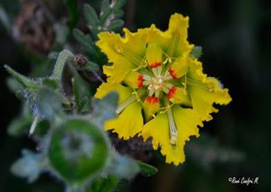 Descripci�n: C:\Users\amdx6\Documents\chlo-web\loasa-alain\LoArgentina_archivos\image001.jpg