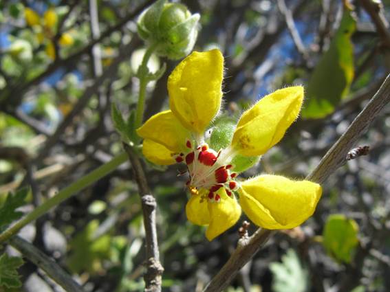 Descripci�n: C:\Users\amdx6\Documents\chlo-web\loasa-alain\LoInsons_archivos\image002.jpg