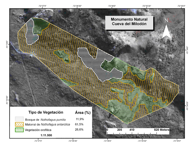 distribucion vegetacion