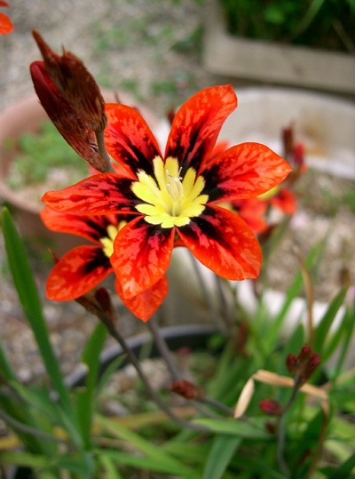 foto 6